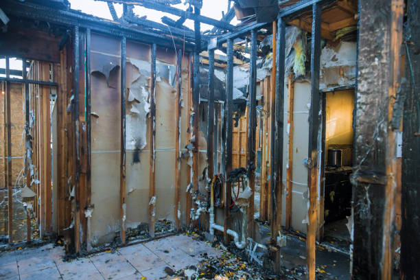 Professional Smoke Damage Removal technician working in Greensburg, LA